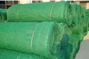 三維植被網(wǎng) 環(huán)保工程的綠色衛(wèi)士 - 北京廠家價(jià)格與產(chǎn)品解析