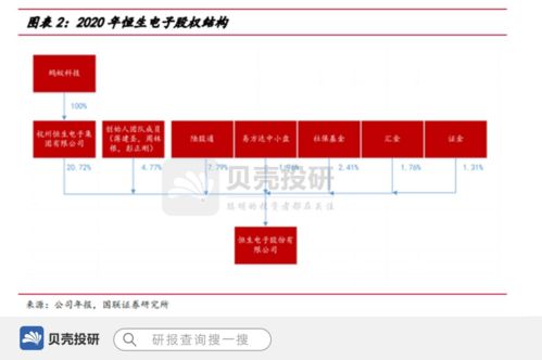 恒生電子 背靠阿里的IT龍頭，信息技術(shù)咨詢(xún)服務(wù)的革新者
